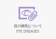 目の病気について,白内障
,緑内障,加齢黄斑変性,眼底の病気,ぶどう膜炎,ドライアイ,屈折異常,前眼部疾患,鼻涙管閉塞症
